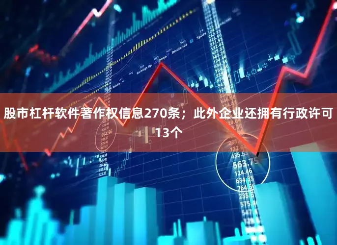股市杠杆软件著作权信息270条；此外企业还拥有行政许可13个