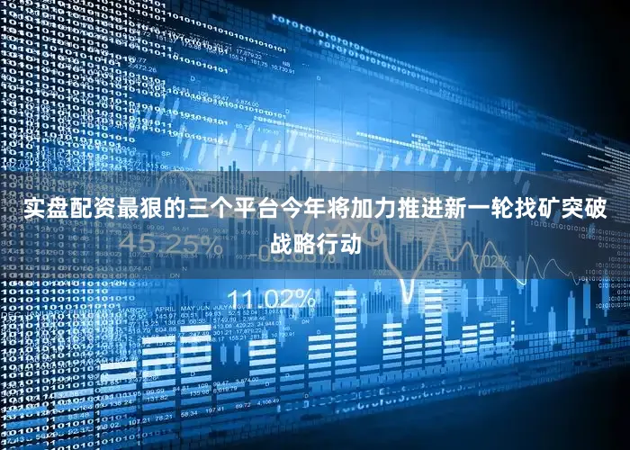 实盘配资最狠的三个平台今年将加力推进新一轮找矿突破战略行动