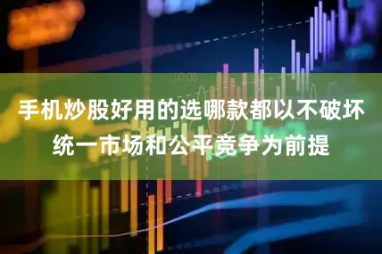 手机炒股好用的选哪款都以不破坏统一市场和公平竞争为前提