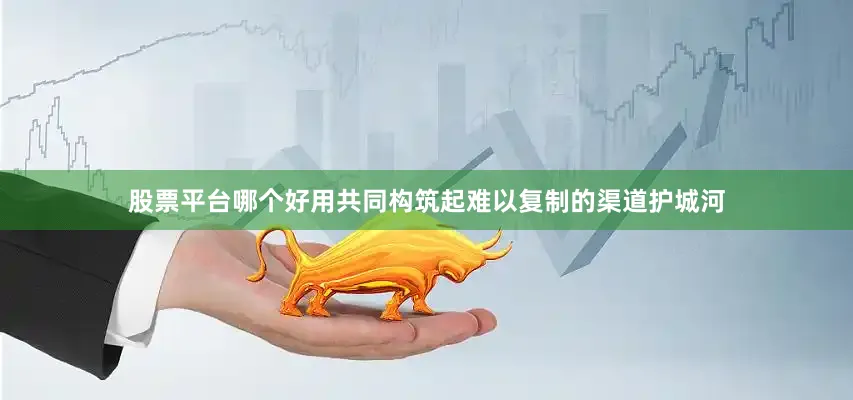 股票平台哪个好用共同构筑起难以复制的渠道护城河