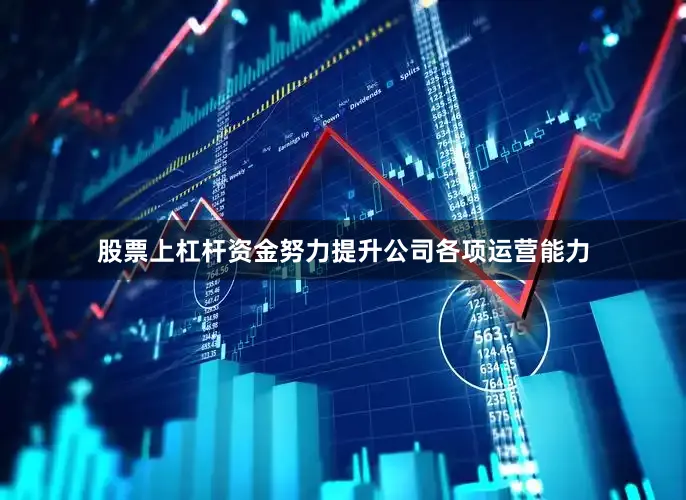 股票上杠杆资金努力提升公司各项运营能力