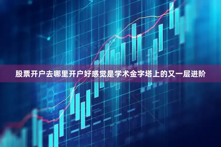 股票开户去哪里开户好感觉是学术金字塔上的又一层进阶