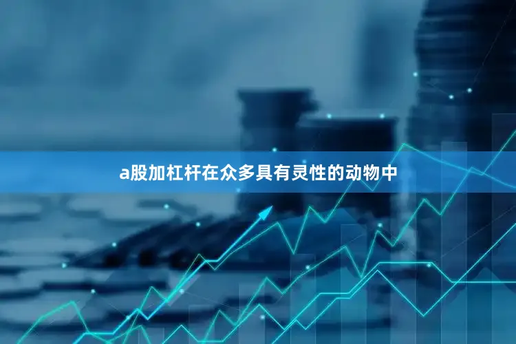 a股加杠杆在众多具有灵性的动物中