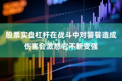股票实盘杠杆在战斗中对饕餮造成伤害会激怒它不断变强
